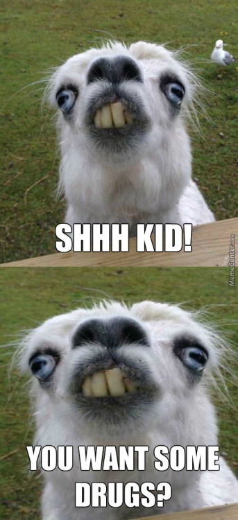 retarded goat - Shhh Kid! MemeCenter.com You Want Some Drugs?