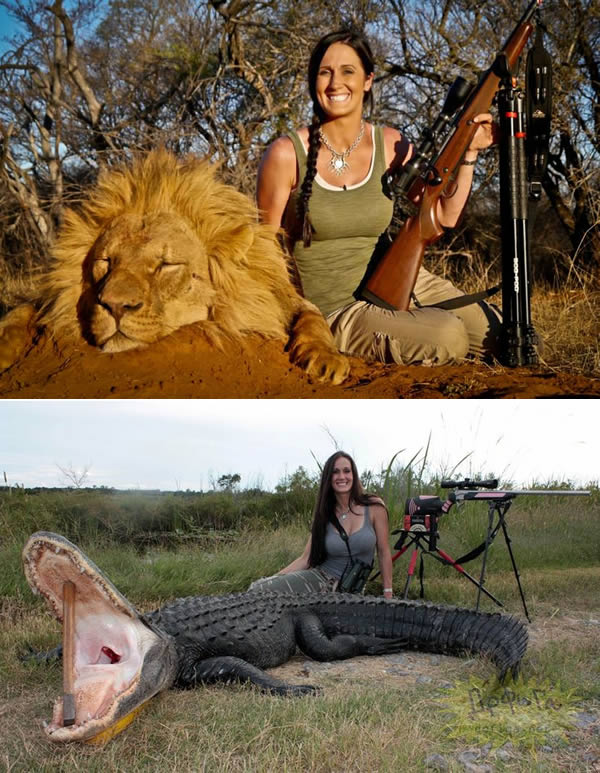 The TV presenter who hunted a lion and posted the photo on her Twitter feedMelissa Bachman, a TV presenter from Minnesota and an avid life-long hunter, posted a hunting photo on her Twitter feed. She wrote, “An incredible day hunting in South Africa! Stalked inside 60-yards on this beautiful male lion. What a hunt!"Bachman's social media pages and website show an array of huge beasts that have died after coming into contact with her. The "Trophy Room" section of her website features a grinning Bachman with dead deer, antelope, alligators, turkeys, and hogs.