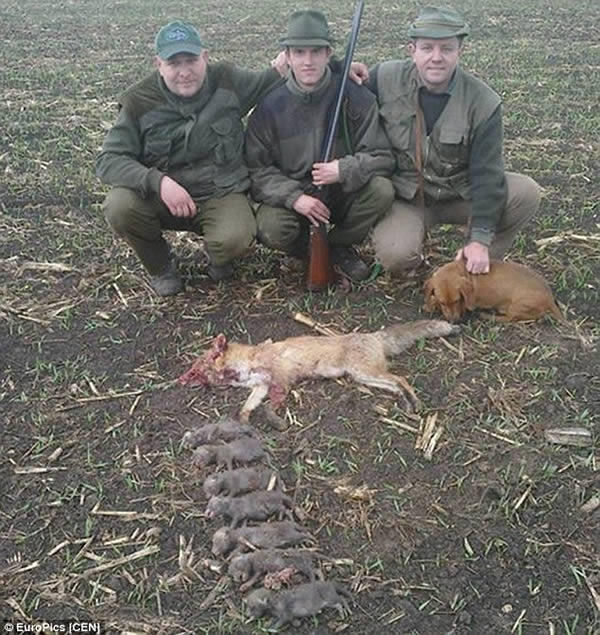 The hunters who caused outrage after posing with family of foxes they killed.This picture of hunters posing next to a dead fox and her seven cubs sparked outrage after it was posted online in November 2014. In the photo, three men who were hunting near the village of Lysovice in the Czech Republic are seen smiling for the camera. The bodies of the mother fox and her seven cubs lie arranged in a line at their feet. The hunters posted the photo to a blog called Hunters Must Be Crazy.photo went viral after it was shared by the British-based charity One World Wildlife, with viewers branding the men as "evil" and "cruel." A spokesperson for the Czech Hunting Association said, "The red fox isn't a protected species, but I agree it isn't very humane to put pictures of hunted animals on social networks.