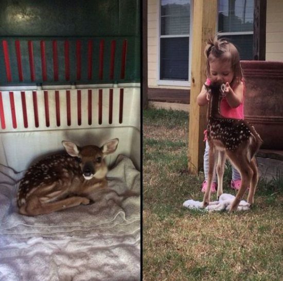 dope pic little girl with fawn
