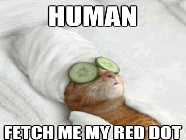 pampered cat meme - Human Fetch Me My Red Dot