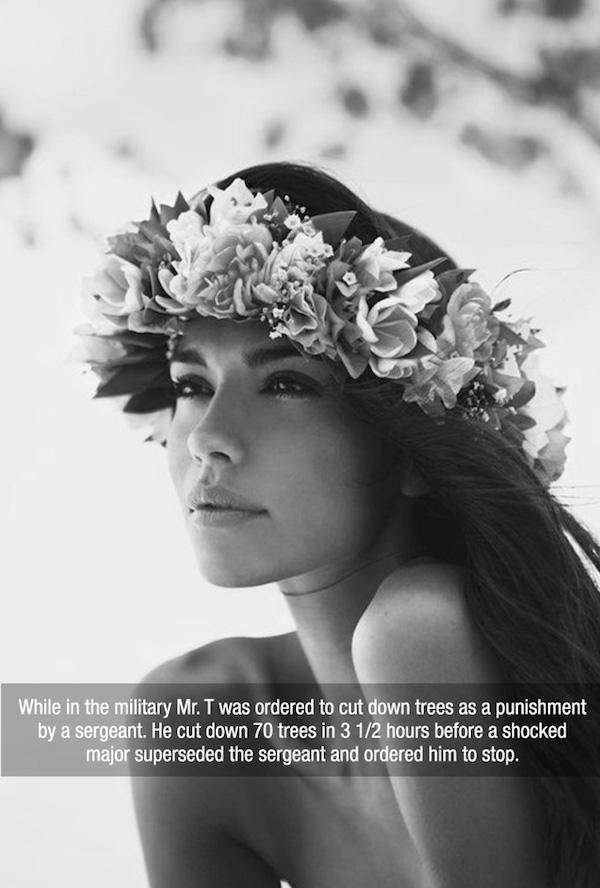 pia miller - While in the military Mr. T was ordered to cut down trees as a punishment by a sergeant. He cut down 70 trees in 3 12 hours before a shocked major superseded the sergeant and ordered him to stop.