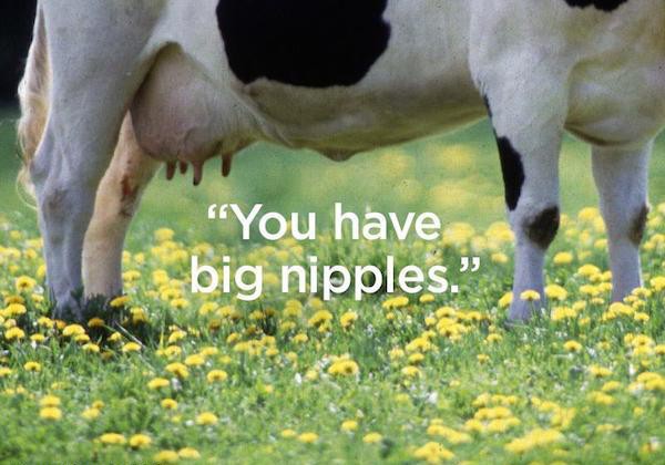 animals in farm - "You have big nipples.