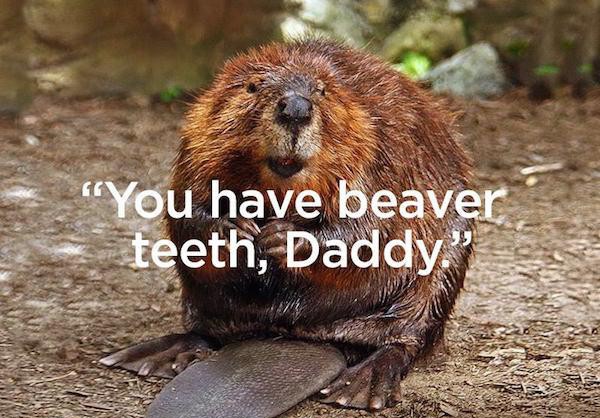 fat beaver - "You have beaver teeth, Daddy."