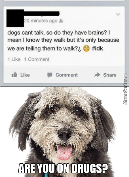 do dogs have brains - 20 minutes ago dogs cant talk, so do they have brains? mean I know they walk but it's only because we are telling them to walk?c 1 1 Comment ide Comment Memecenter.com Are You On Drugs?