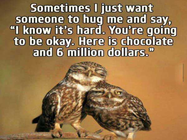 owl quotes - Sometimes I just want someone to hug me and say, "I know it's hard. You're going to be okay. Here is chocolate and 6 million dollars."