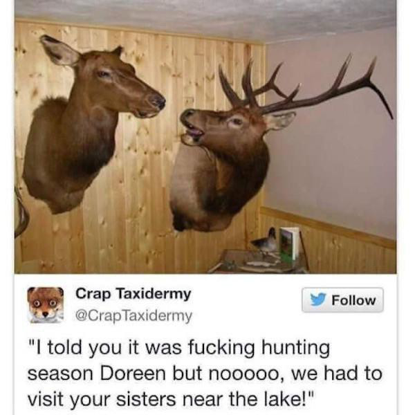 crap taxidermy deer - Crap Taxidermy Taxidermy "I told you it was fucking hunting season Doreen but nooooo, we had to visit your sisters near the lake!"