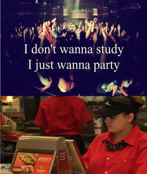 party quote - I don't wanna study I just wanna party Applepie Zesty
