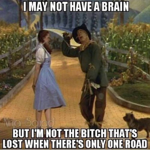 scarecrow wizard of oz funny - I May Not Have A Brain Ninja Squad But I'M Not The Bitch That'S Lost When There'S Only One Road