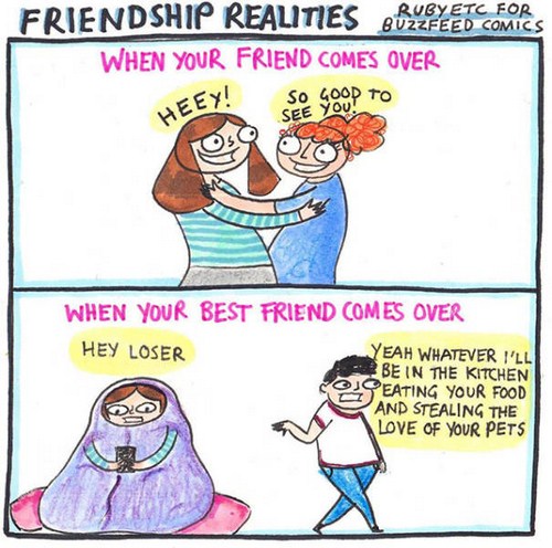 friends vs best friends funny - Friendship Realities Rubletches When Your Friend Comes Over Heey! Your To When Your Best Friend Comes Over Hey Loser Yeah Whatever I'Ll Be In The Kitchen O Eating Your Food And Stealing The Love Of Your Pets