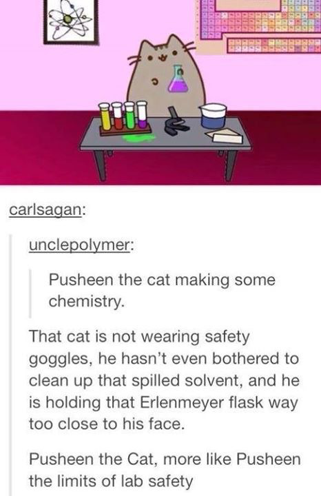 pusheen the limits of lab safety - carlsagan unclepolymer Pusheen the cat making some chemistry. That cat is not wearing safety goggles, he hasn't even bothered to clean up that spilled solvent, and he is holding that Erlenmeyer flask way too close to his