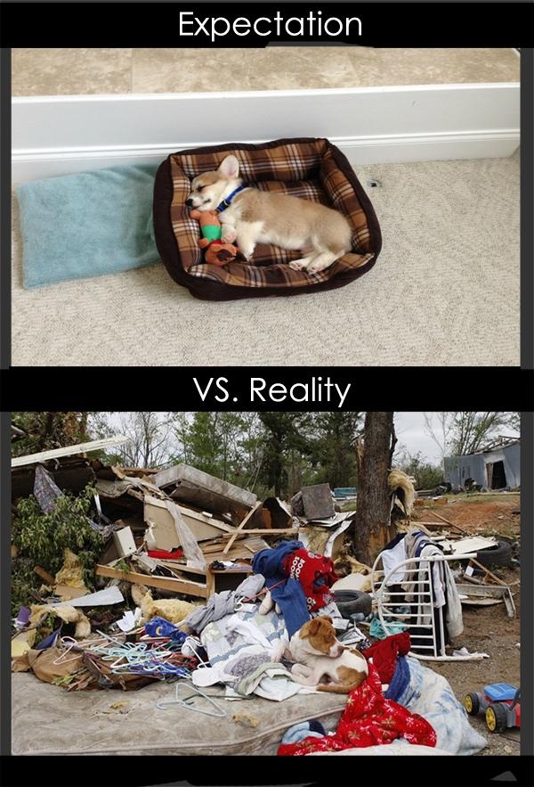 21 Expectations VS Realities