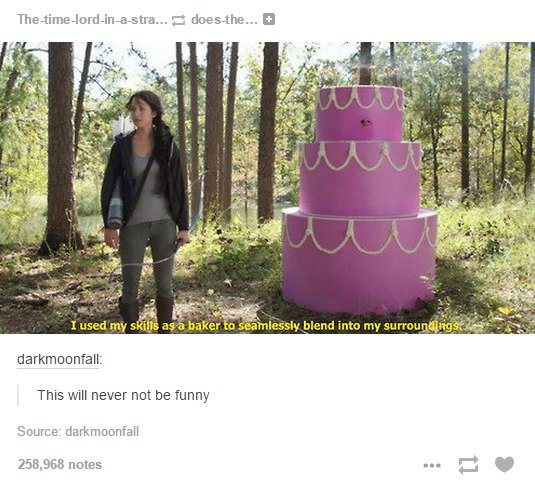 tumblr - starving games cake - Thetimelordinastra... doesthe... Hc I used my skills as a baker to seamlessly blend into my surrounding darkmoonfall This will never not be funny Source darkmoonfall 258,968 notes