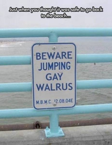 gay walrus - Just when you thought it was safe to go back to the beach... Beware Jumping Gay Walrus M.B.M.C. 12.08.04E