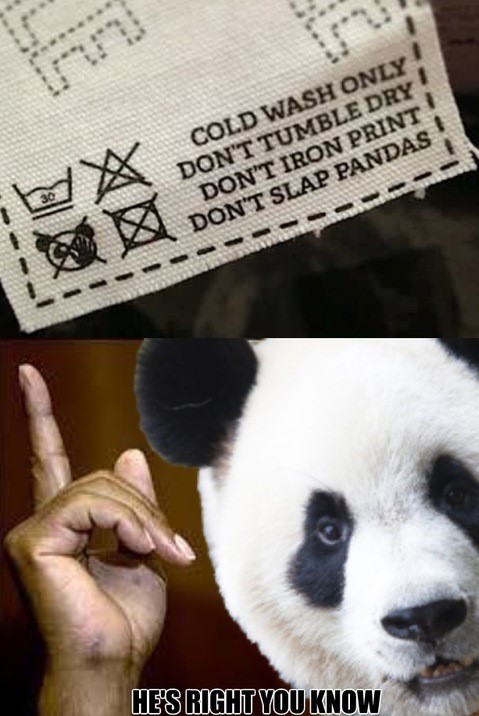 Cold Wash Only! Don'T Tumble Dry Don'T Iron Print! Don'T Slap Pandas He'S Right You Know