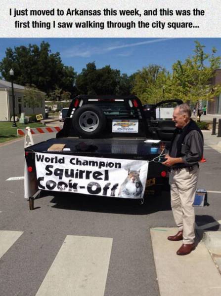 arkansas funny - I just moved to Arkansas this week, and this was the first thing I saw walking through the city square... World Champion Squirrel CookOff