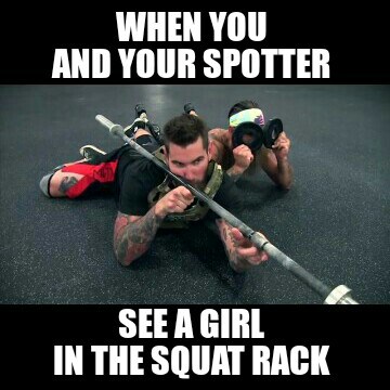 wow healer memes - When You And Your Spotter See A Girl In The Squat Rack