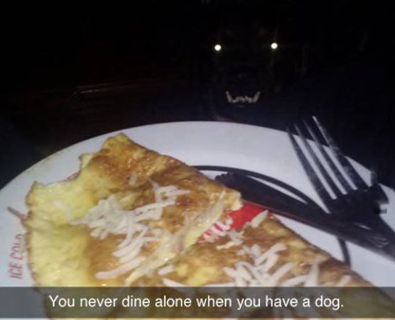 cursed dinner - Ice You never dine alone when you have a dog.