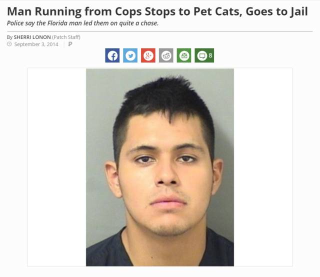 florida man memes - Man Running from Cops Stops to Pet Cats, Goes to Jail Police say the Florida man led them on quite a chase. By Sherri Lonon Patch Staff P