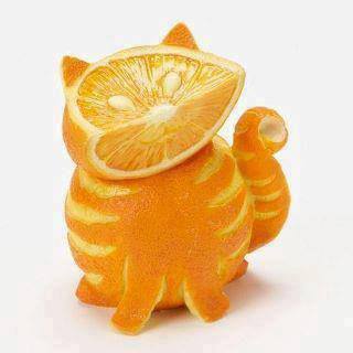 pure orange cat
