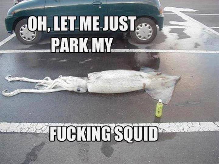 let me park my fucking squid - Oh, Let Me Justo, Park.My Fucking Squid