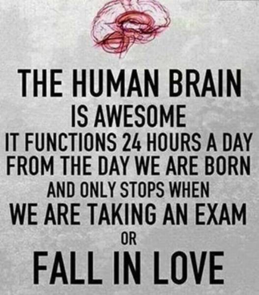 The Human Brain Is Awesome It Functions 24 Hours A Day From The Day We Are Born And Only Stops When We Are Taking An Exam Fall In Love Or