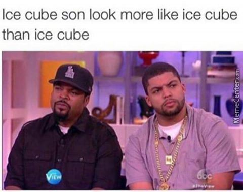 ice cube memes - Ice cube son look more ice cube than ice cube MemeCenter.com