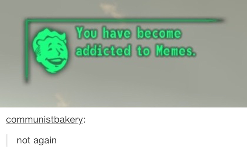 tumblr - material - You have become addicted to Memes. communistbakery not again