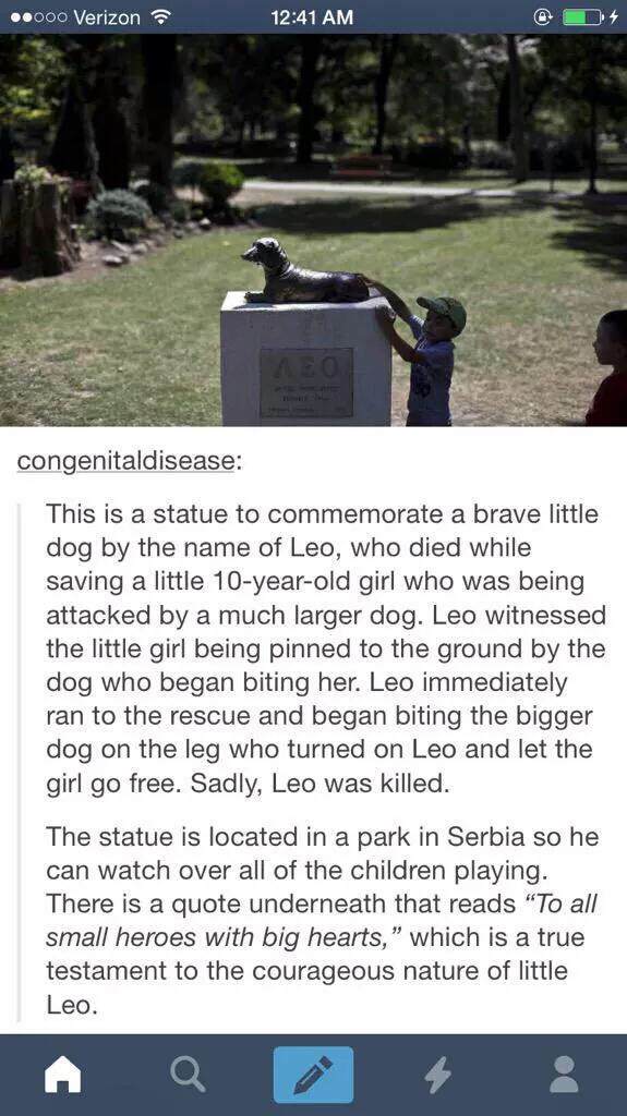 tumblr - pancevo park - .000 Verizon congenitaldisease This is a statue to commemorate a brave little dog by the name of Leo, who died while saving a little 10yearold girl who was being attacked by a much larger dog. Leo witnessed the little girl being pi