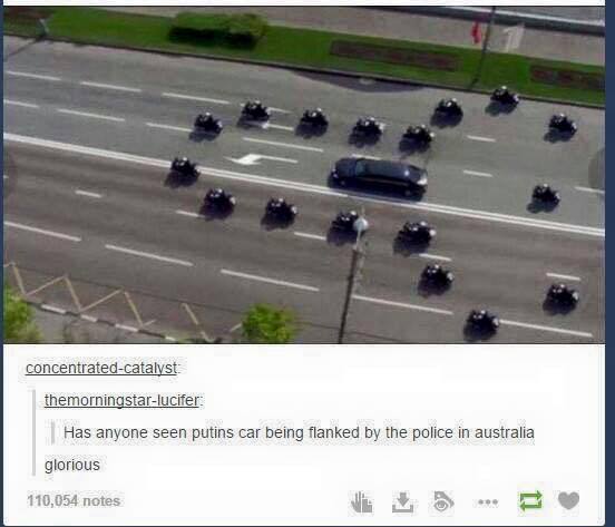 tumblr - putin's motorcade - concentratedcatalyst themorningstarlucifer | Has anyone seen putins car being flanked by the police in australia glorious 110,054 notes