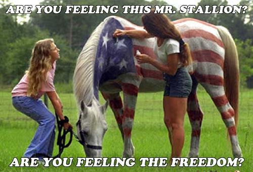 painting horses for halloween - Are You Feeling This Mr. Stallion? Are You Feeling The Freedom?