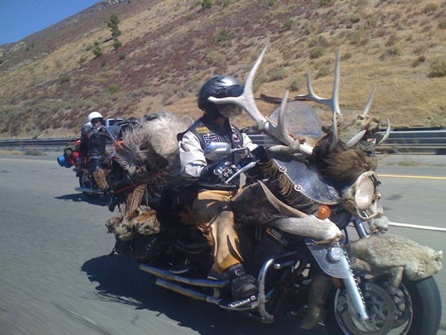 Crazy Things You'll Only See On The Road