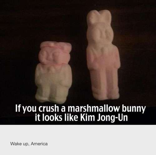 tumblr - kim jong un instagram meme - If you crush a marshmallow bunny it looks Kim JongUn Wake up, America