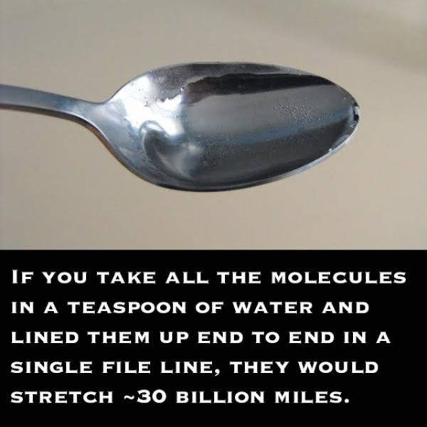 15 Strange But True Facts You Likely Never Realized!