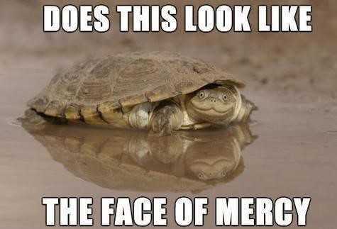 see you turtle meme - Does This Look The Face Of Mercy