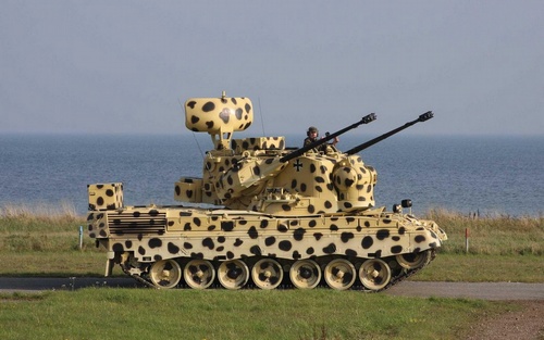 flakpanzer gepard camouflage