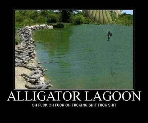 funny fuck - | Alligator Lagoon Oh Fuck Oh Fuck Oh Fucking Shit Fuck Shit
