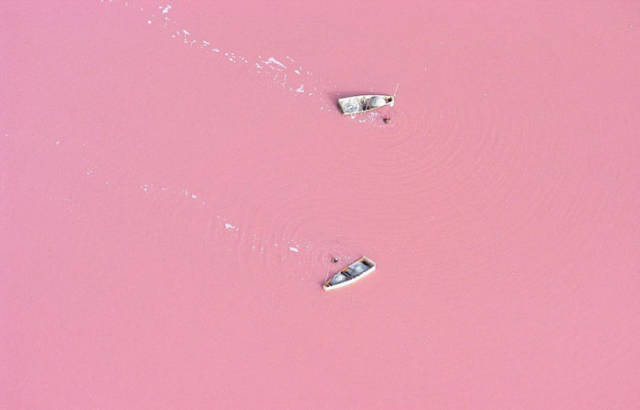 dead sea pink