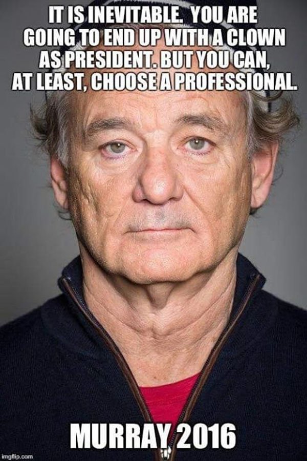 stag do memes - It Is Inevitable. You Are Going To End Up With A Clown As President. But You Can, At Least, Choose A Professional. Murray 2016 imetlip.com