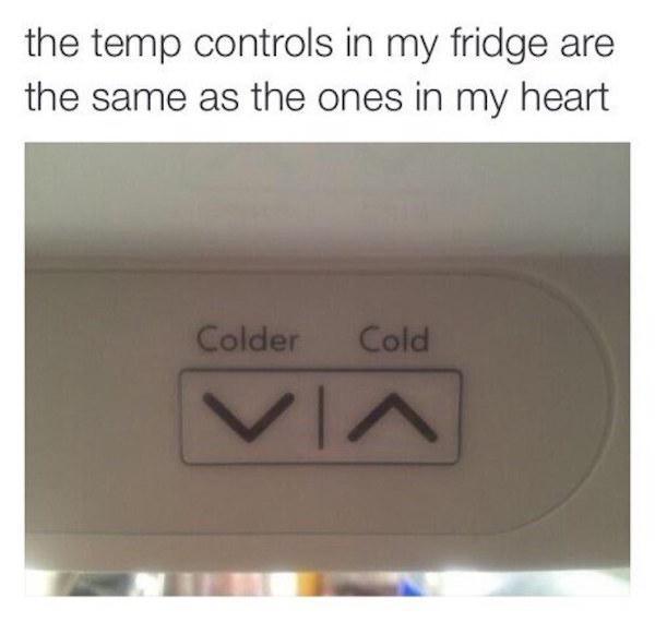 random angle - the temp controls in my fridge are the same as the ones in my heart Colder Cold in