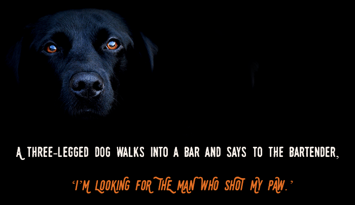 dad joke photo caption - A ThreeLegged Dog Walks Into A Bar And Says To The Bartender, ''I'M Looking For The Man Who Shot My Paw. ?