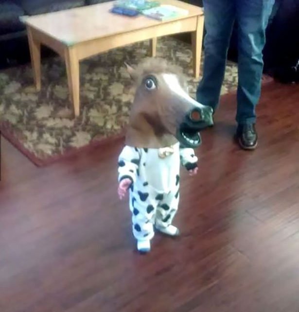 cool kid with horse head