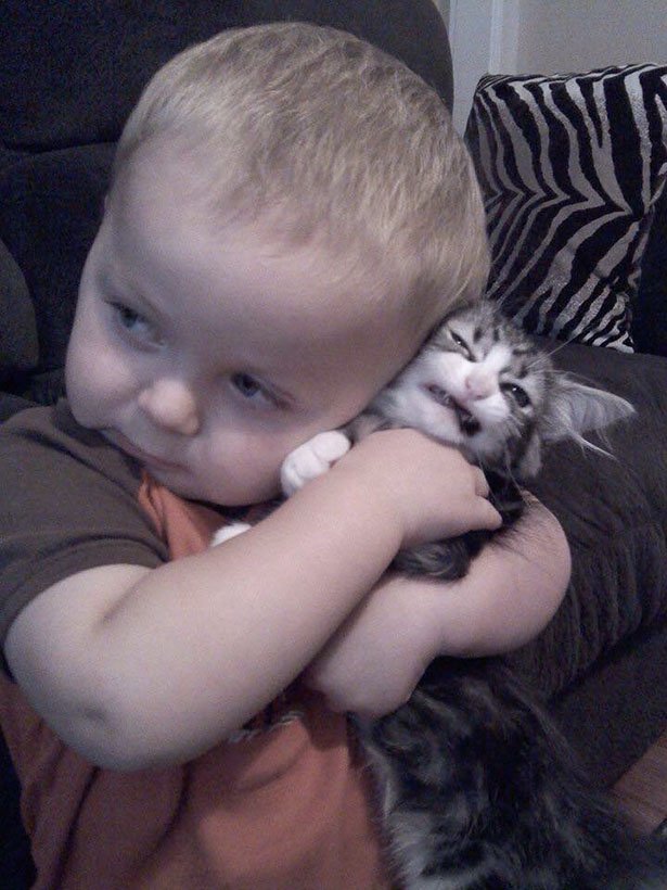 toddler squeezing cat
