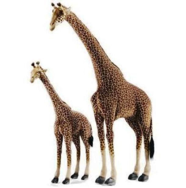 Ride-on Plush Giraffe, price: $1,879...Available at petittresor.com, the standing ride-on giraffe can support up to 150 pounds (68 kg). Originally created for exclusive European collectors, each plush animal is meticulously handcrafted from portraits of real animals and comes with a "Toys that Teach" tag describing in detail their habitat, lifestyle, care of their young and eating habits.