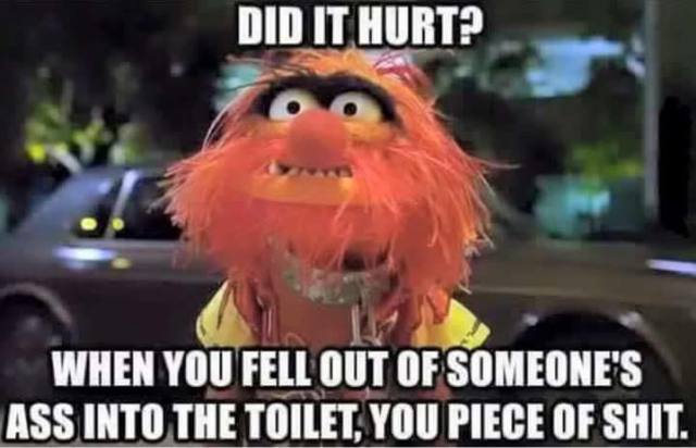 fucking things up meme - Did It Hurt? When You Fell Out Of Someone'S Ass Into The Toilet, You Piece Of Shit.