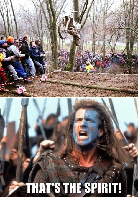 william wallace mel gibson - That'S The Spirit!