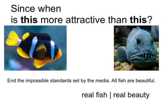 animal - Since when is this more attractive than this? End the impossible standards set by the media. All fish are beautiful. real fish real beauty
