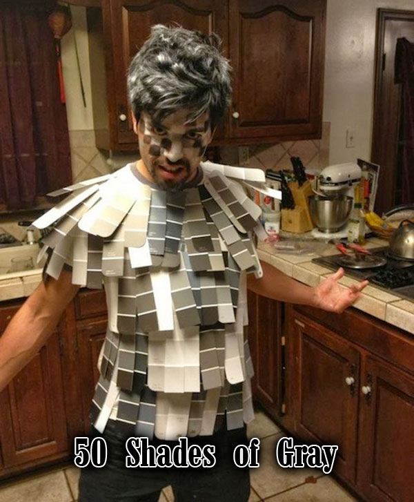 easy pun costumes - 50 Shades of Gray
