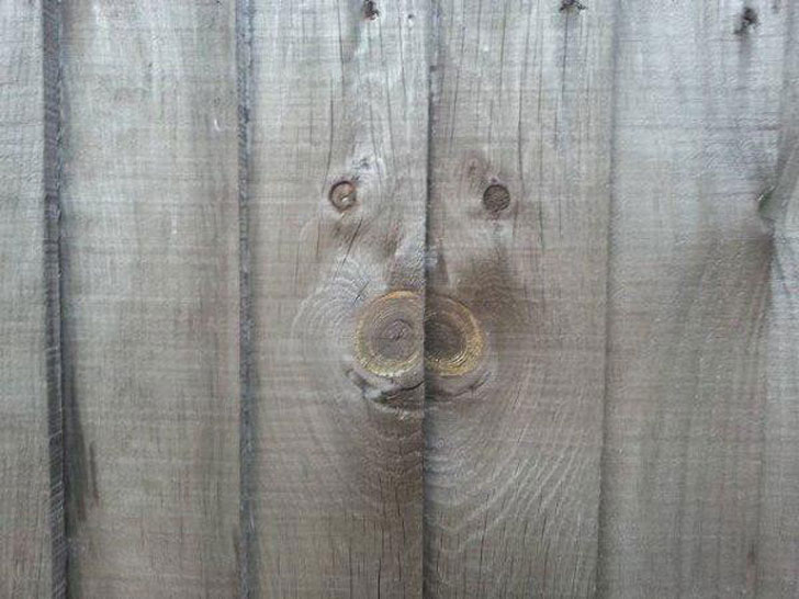 hidden faces in wood planks