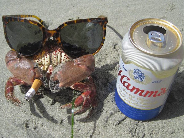 32 Awesome It's Friday IDGAF Photos!